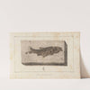 Recherches sur les poissons fossiles Pl.073 by Louis Agassiz