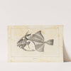 Recherches sur les poissons fossiles Pl.111 by Louis Agassiz