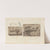 Recherches sur les poissons fossiles Pl.116 by Louis Agassiz