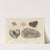 Recherches sur les poissons fossiles Pl.118 by Louis Agassiz