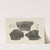 Recherches sur les poissons fossiles Pl.131 by Louis Agassiz