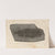 Recherches sur les poissons fossiles Pl.142 by Louis Agassiz