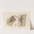 Recherches sur les poissons fossiles Pl.144 by Louis Agassiz