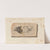 Recherches sur les poissons fossiles Pl.186 by Louis Agassiz