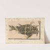 Recherches sur les poissons fossiles Pl.188 by Louis Agassiz
