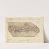 Recherches sur les poissons fossiles Pl.225 by Louis Agassiz