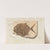 Recherches sur les poissons fossiles Pl.240 by Louis Agassiz