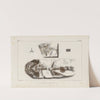 Recherches sur les poissons fossiles Pl.322 (1833-1843) by Louis Agassiz