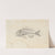 Recherches sur les poissons fossiles Pl.339 by Louis Agassiz