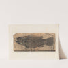 Recherches sur les poissons fossiles Pl.348 by Louis Agassiz