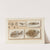 Recherches sur les poissons fossiles Pl.364 by Louis Agassiz