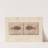 Recherches sur les poissons fossiles Pl.373 by Louis Agassiz