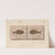 Recherches sur les poissons fossiles Pl.373 by Louis Agassiz