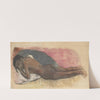 Reclining Nude (recto) (1894-1895) by Paul Gauguin