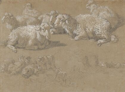 Reclining Sheep in a Landscape