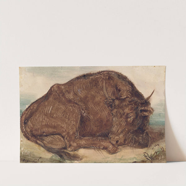 Recumbent bull (1842) by Henry Kirke Brown