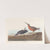 Red-breasted snipe by John James Audubon