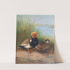 Red-Crested Pochard (1913) by Otto Murray Dixon