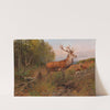Red Deer On the Lookout by Albert Ernst Mühlig