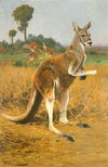 Green parrot and acacia (1882)