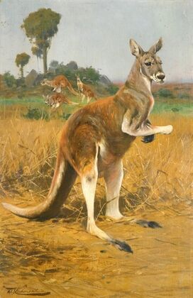 Green parrot and acacia (1882)