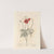 Red poppy by Elizabeth Blackwell