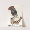 Red tailed hawk by John James Audubon