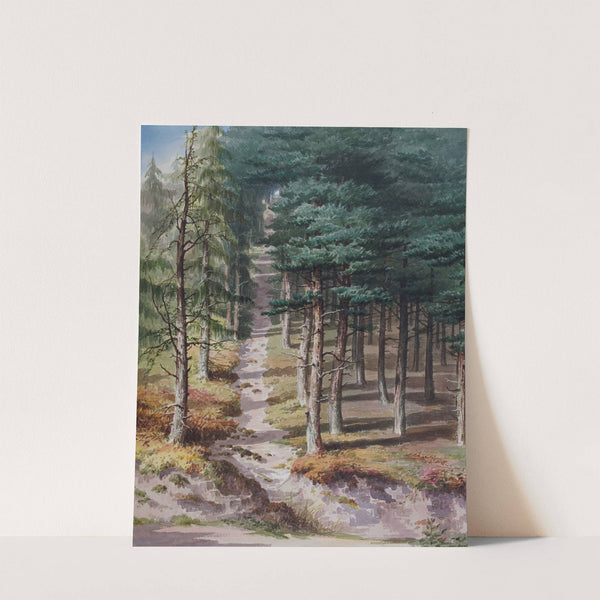 Rednal Wood by Elijah Walton