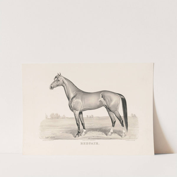 Redpath (1882) by Currier & Ives.