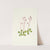 Redstem Saxifrage. Saxifraga lyallii (1925) by Mary Vaux Walcott