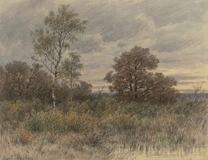 Regenlandschaft mit in sumpfigem Terrain stehenden Eichen und Birken
