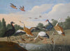 Reiher und Enten
