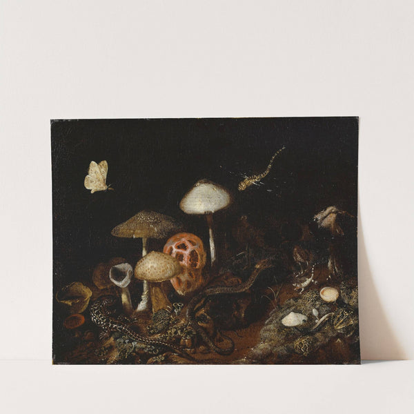 Reptiles, Mushrooms and Butterflies by Otto Marseus van Schrieck