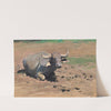 Resting Buffalo (1906) by Wilhelm Kuhnert