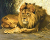 Resting Lions (1913)
