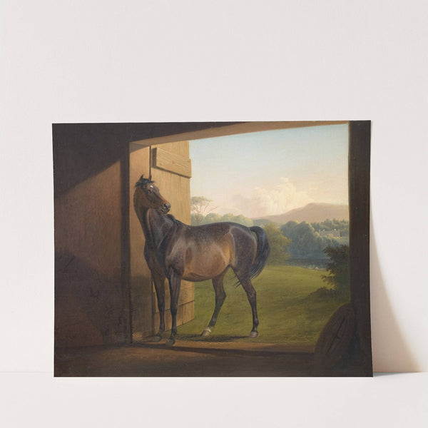 Reveller Mare by Fritz Thomsen