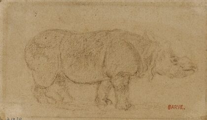 Rhinocéros (19th century)
