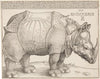 Rhinocerus (Das Rhinozeros)