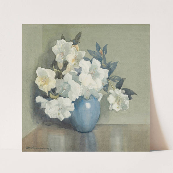 Rhododendron Fragrantissima (1933) by Dorothy Richmond