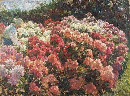 Rhododrendron in Tuxen’s garden