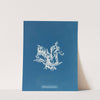 Rhodomenia bifida by Anna Atkins