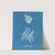 Rhodomenia reniformis by Anna Atkins