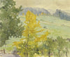 Rhön landscape