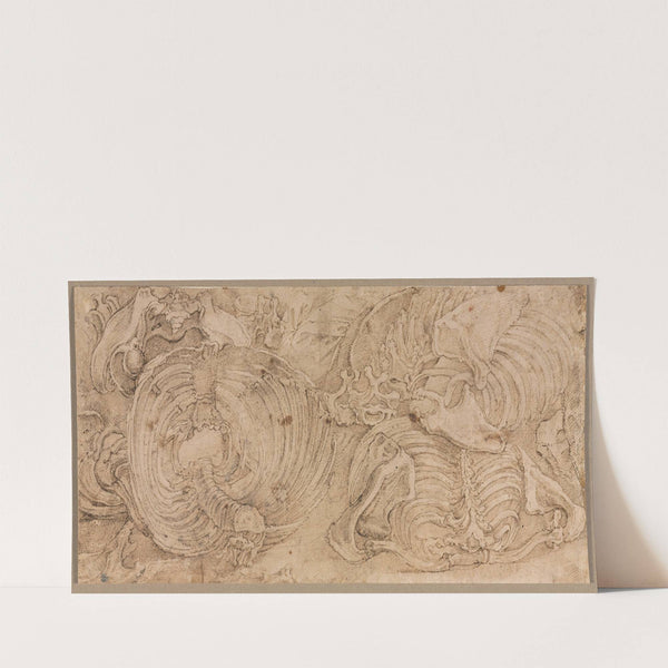 Rib Cages (early 1540s) by Battista Franco