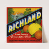 Richland Brand Citrus Label (1930s)