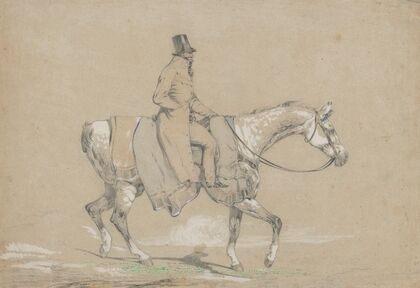 Rider