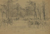 Rifle pits in the woods.