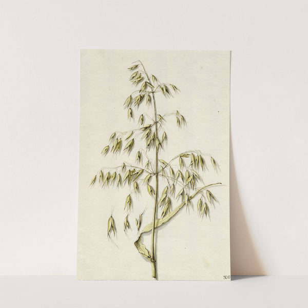 Rijpe haver by Barend Hendrik Thier