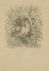 Rip Van Winkle asleep (1864)