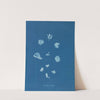 Rivularia nitida by Anna Atkins
